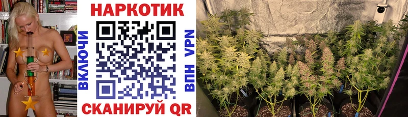 Где купить наркоту Чадан МАРИХУАНА  Кокаин  Альфа ПВП  ГАШ 