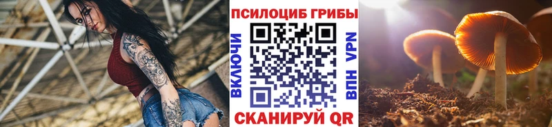 кракен tor  Чадан  Галлюциногенные грибы MAGIC MUSHROOMS  что такое  