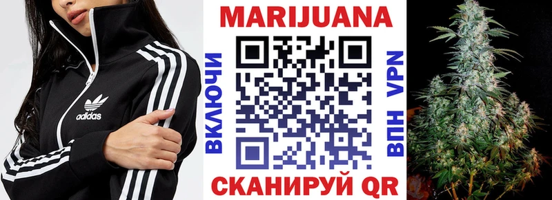 ОМГ ОМГ tor  Чадан  Бошки Шишки ГИДРОПОН 
